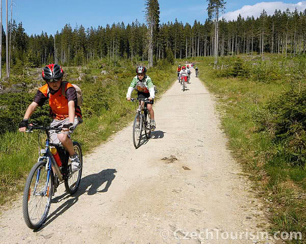 Klassenfahrt an den Lipno-Stausee - Übernachtung im Landal-Ferienpark