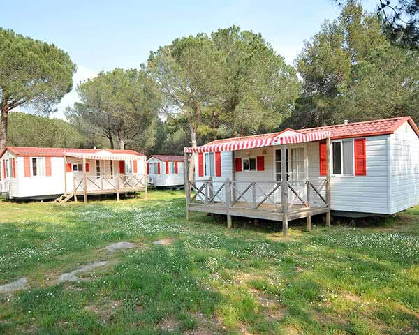 Studienreisen Ferienanlage Bi Village: Mobilhome