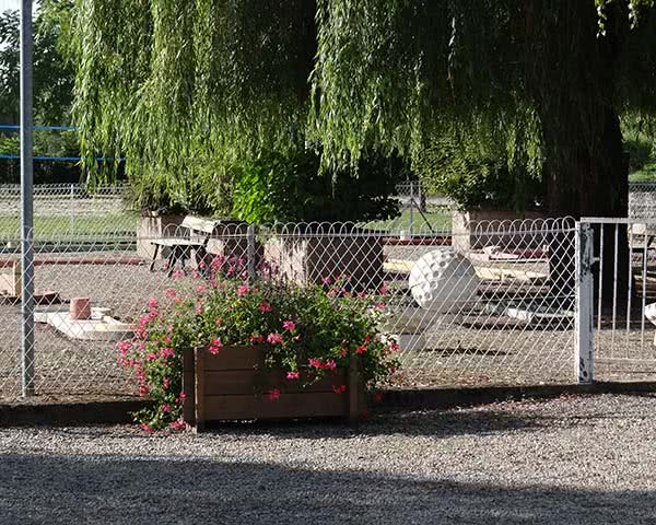 Jugendreisen Ferienpark Rhein: Minigolfanlage