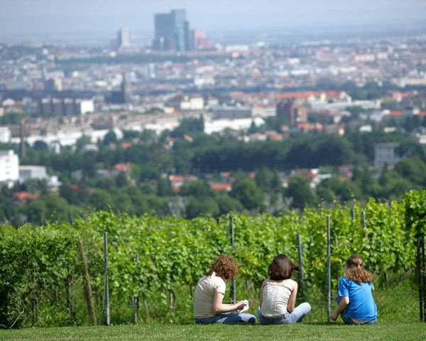 Studienreise Schlossherberge Wien- Panorama