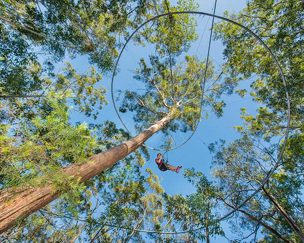 Center Parcs Allgäu: Seilpark Center Parcs Allgäu