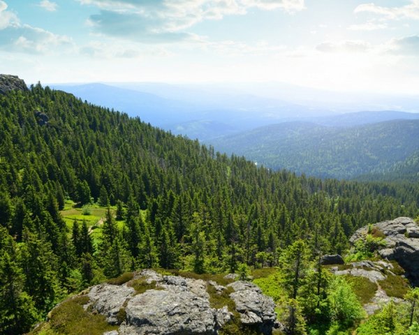 Feriendorf Sattelbogen - Umgebung