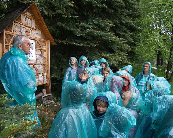 Jugendreise Grüne Schule grenzenlos: Wald