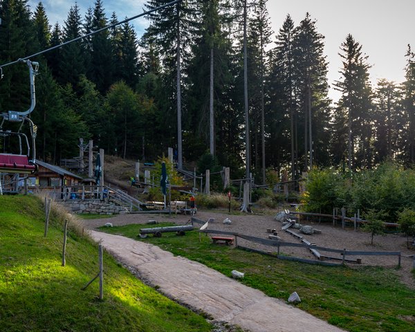 Wurzelrudis Hostel - Murmelwald