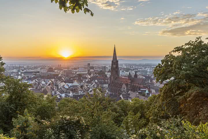 Blick Freiburger Münster