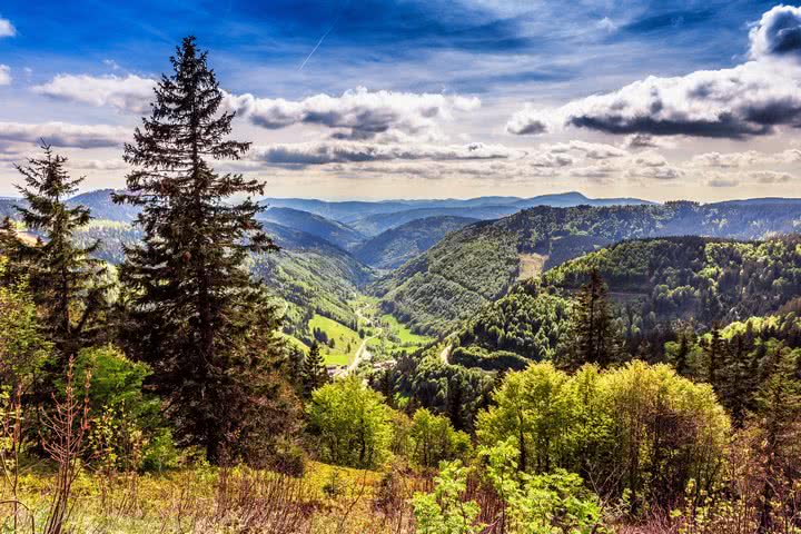 Schwarzwald