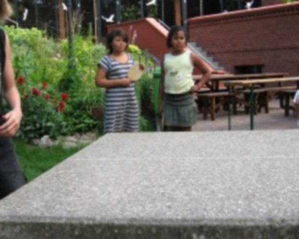 Jugendherberge Bremsdorfer Mühle - Tischtennis