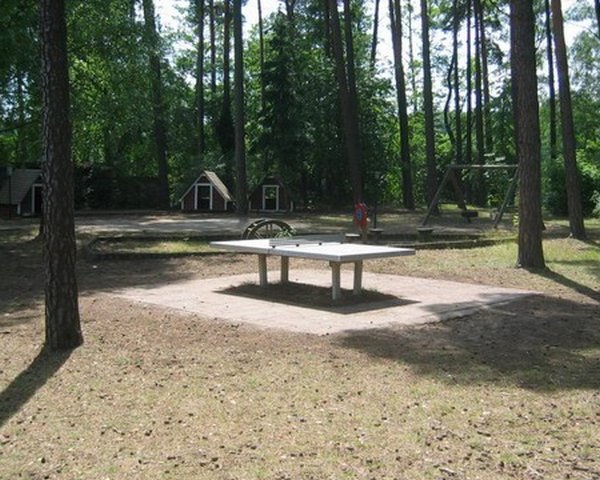 KJF Prieros GmbH - Tischtennis