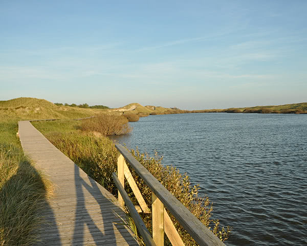 Studienreisen Amrum: Dünenlandschaft