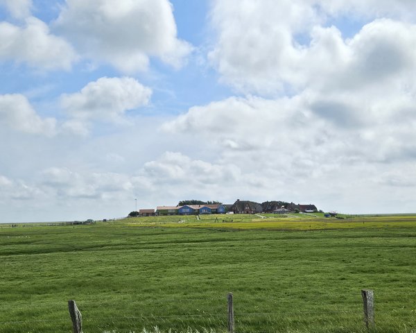 Jugendwarft Hallig Hooge - Fernansicht