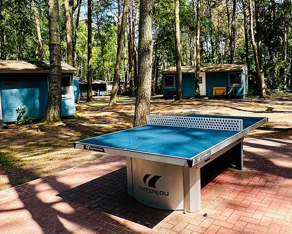 Feriensiedlung Schwalbennest - Tischtennis