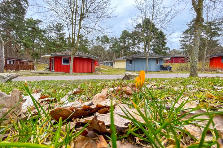 Regenbogencamp Göhren - Außengelände