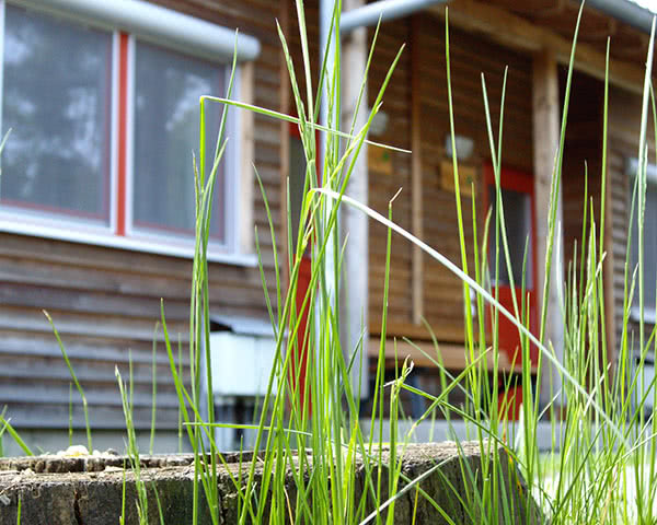 Jugendfahrt Zirkelsteinresort- Bungalow