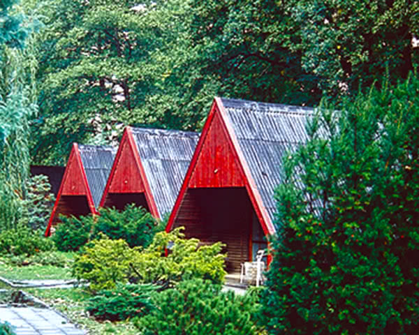 Klassenfahrt Jugendherberge Burg- Bungalow Jugendherberge Burg