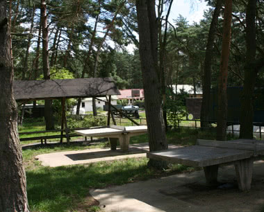 Kursfahrt Feriencamp Gnitz- Tischtennis