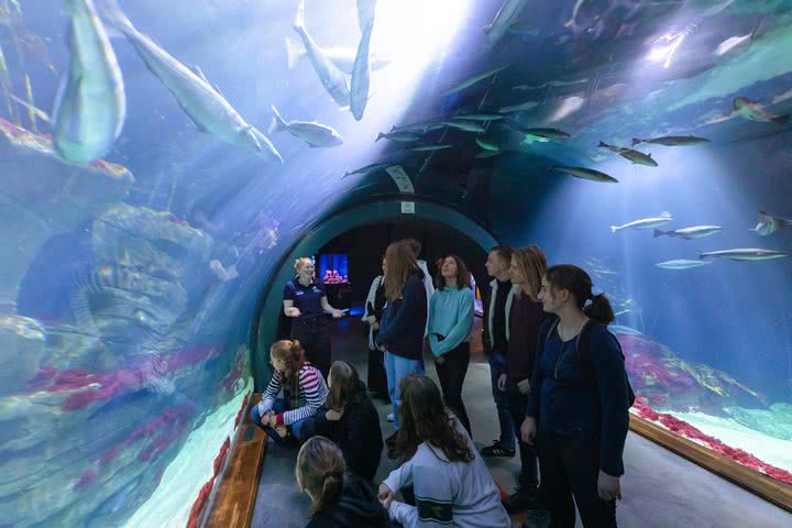 Ozeaneum Meerestunnel