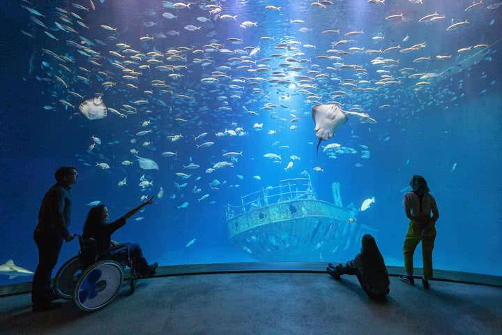 Ozeaneum offener Atlantik