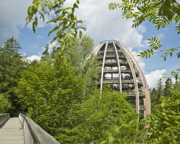 Baumwipfelpfad