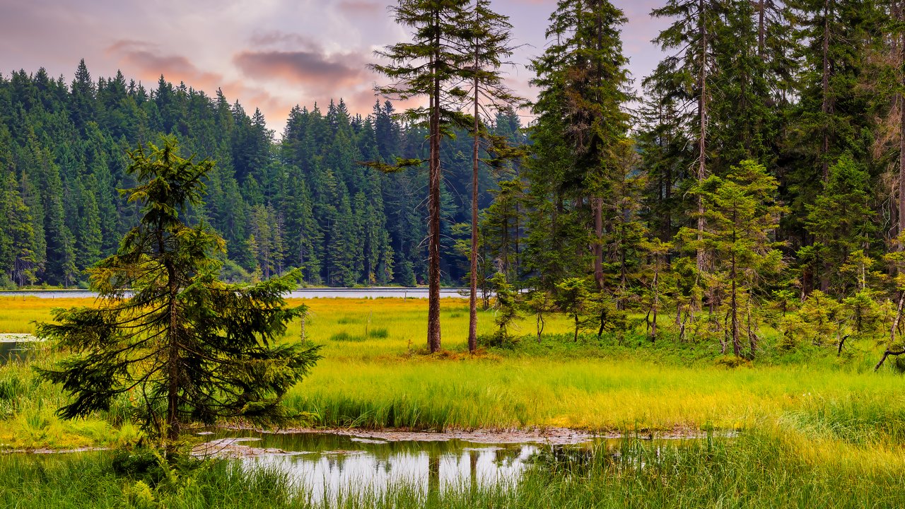 Klassenfahrt Bayerischer Wald