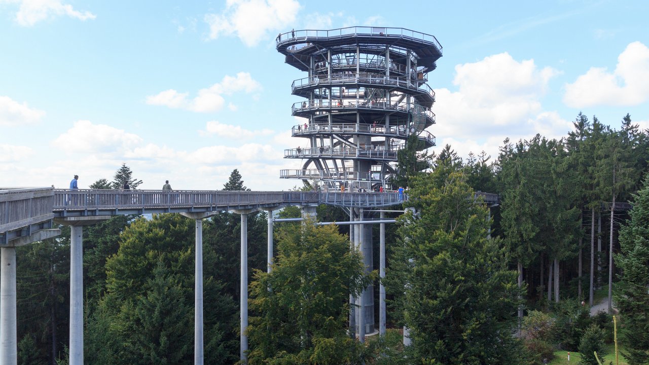 Klassenfahrt Bayerischer Wald