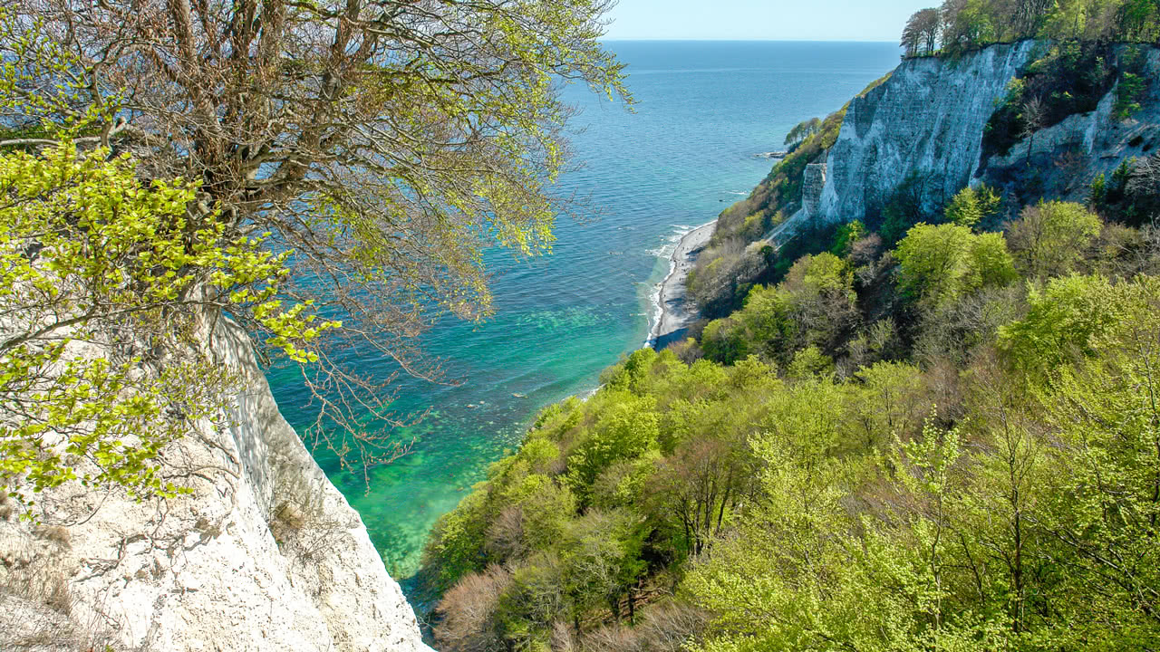 Ausblick vom Königsstuhl