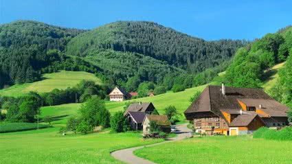 Klassenfahrt Schwarzwald