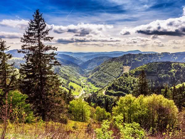 Der Feldberg im Schwarzwald