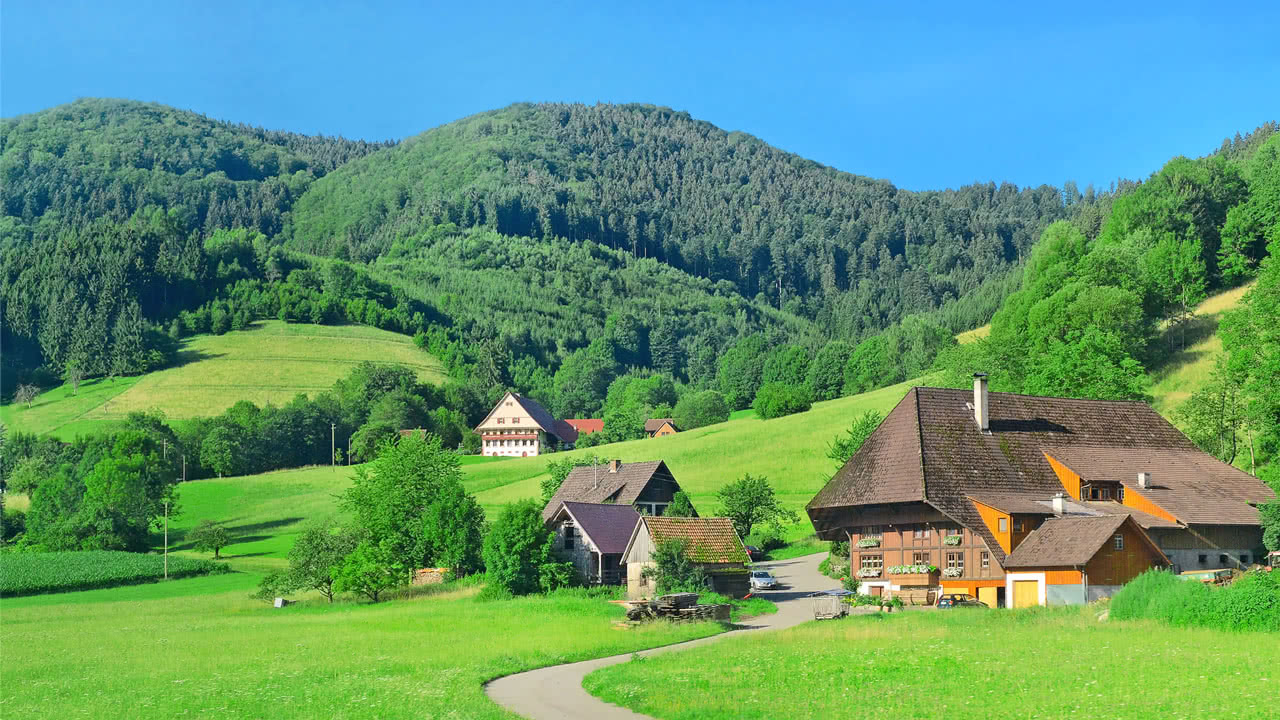 Klassenfahrt Schwarzwald