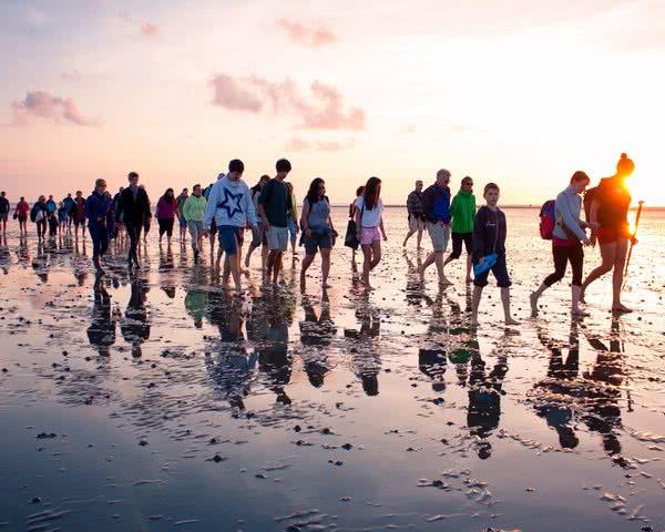 Wattwanderung © Schutzstadion Wattenmeer Wattwanderung © Schutzstadion Wattenmeer