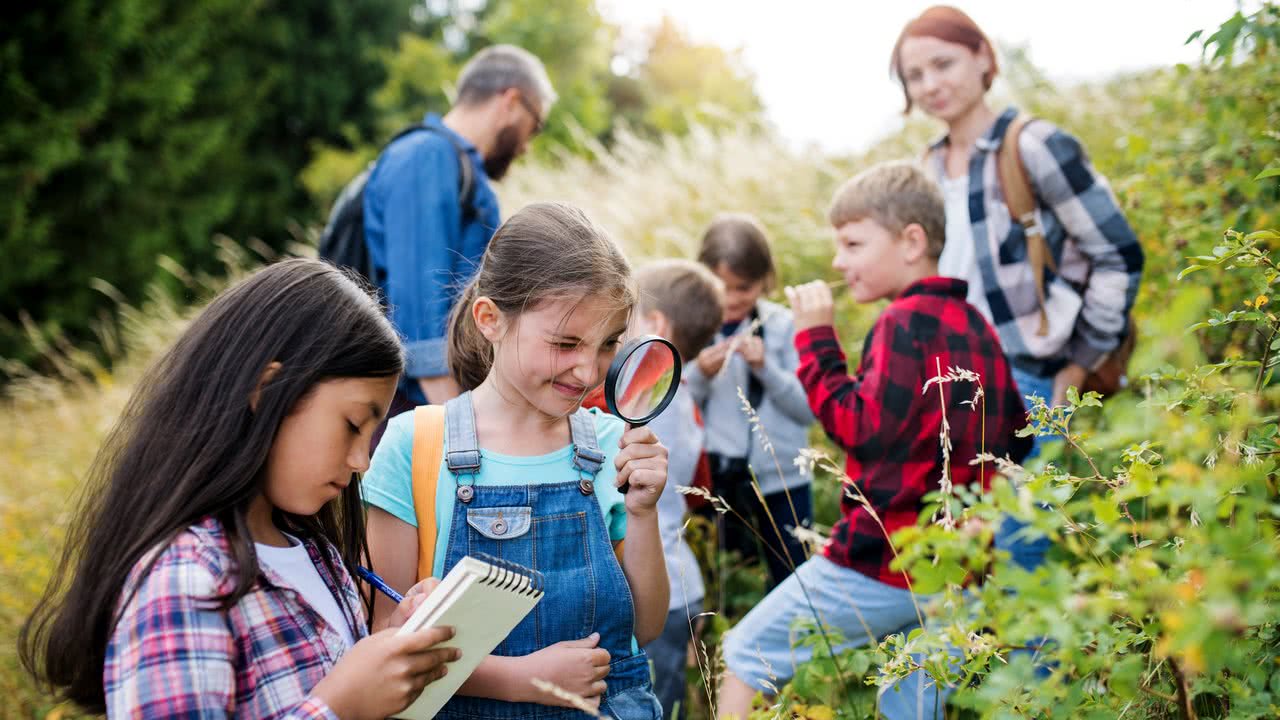 Klassenfahrten in die Natur