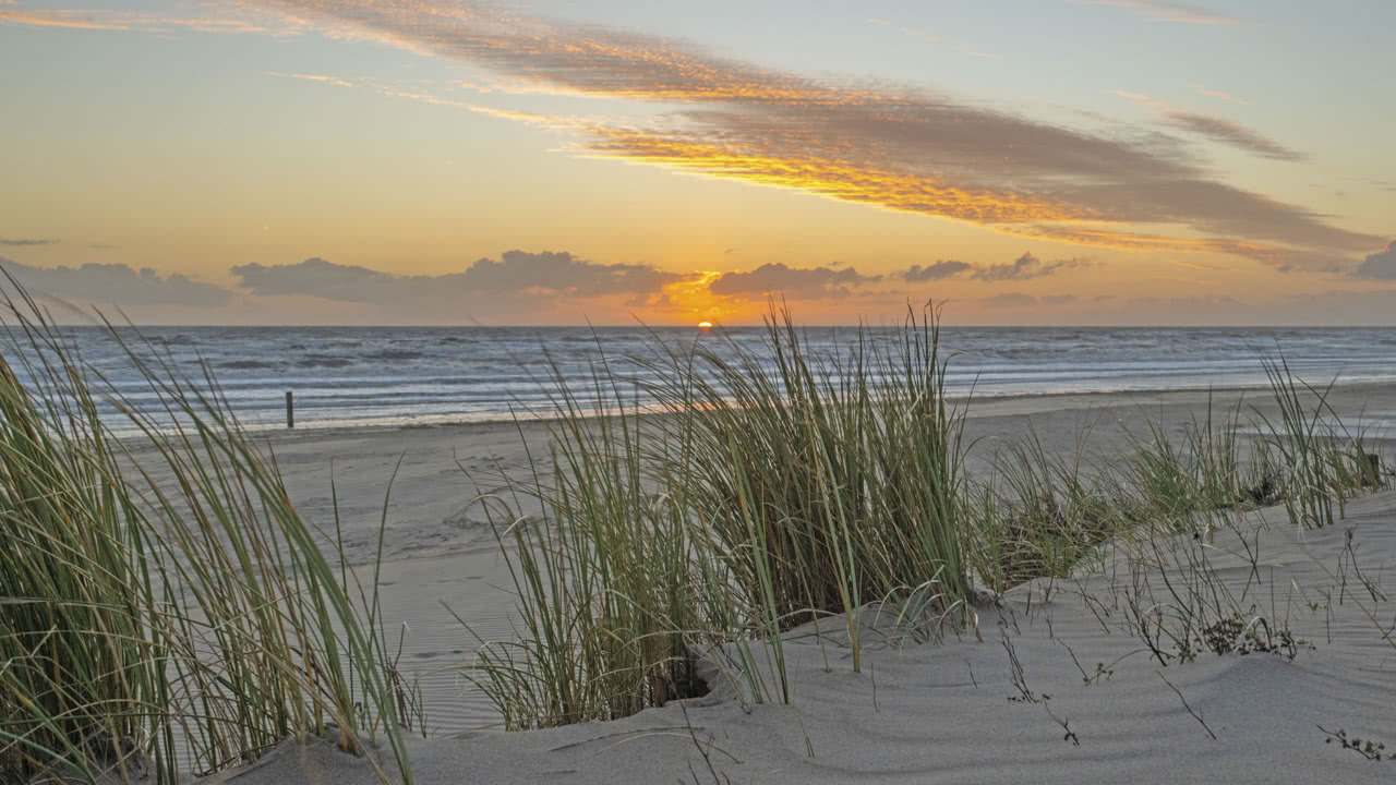 Klassenfahrt Holland am Meer