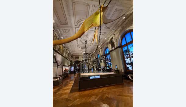 Naturhistorisches Museum Wien