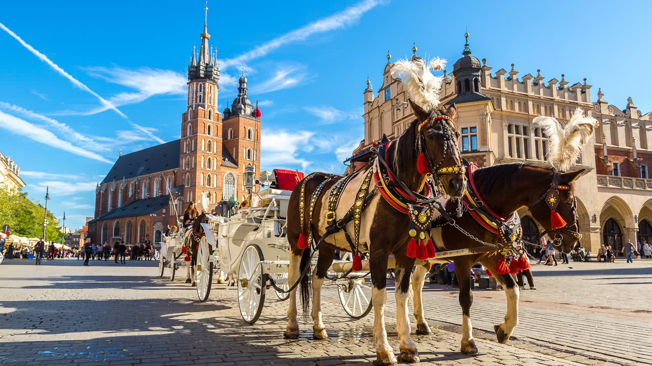 Pferdekutsche Krakau