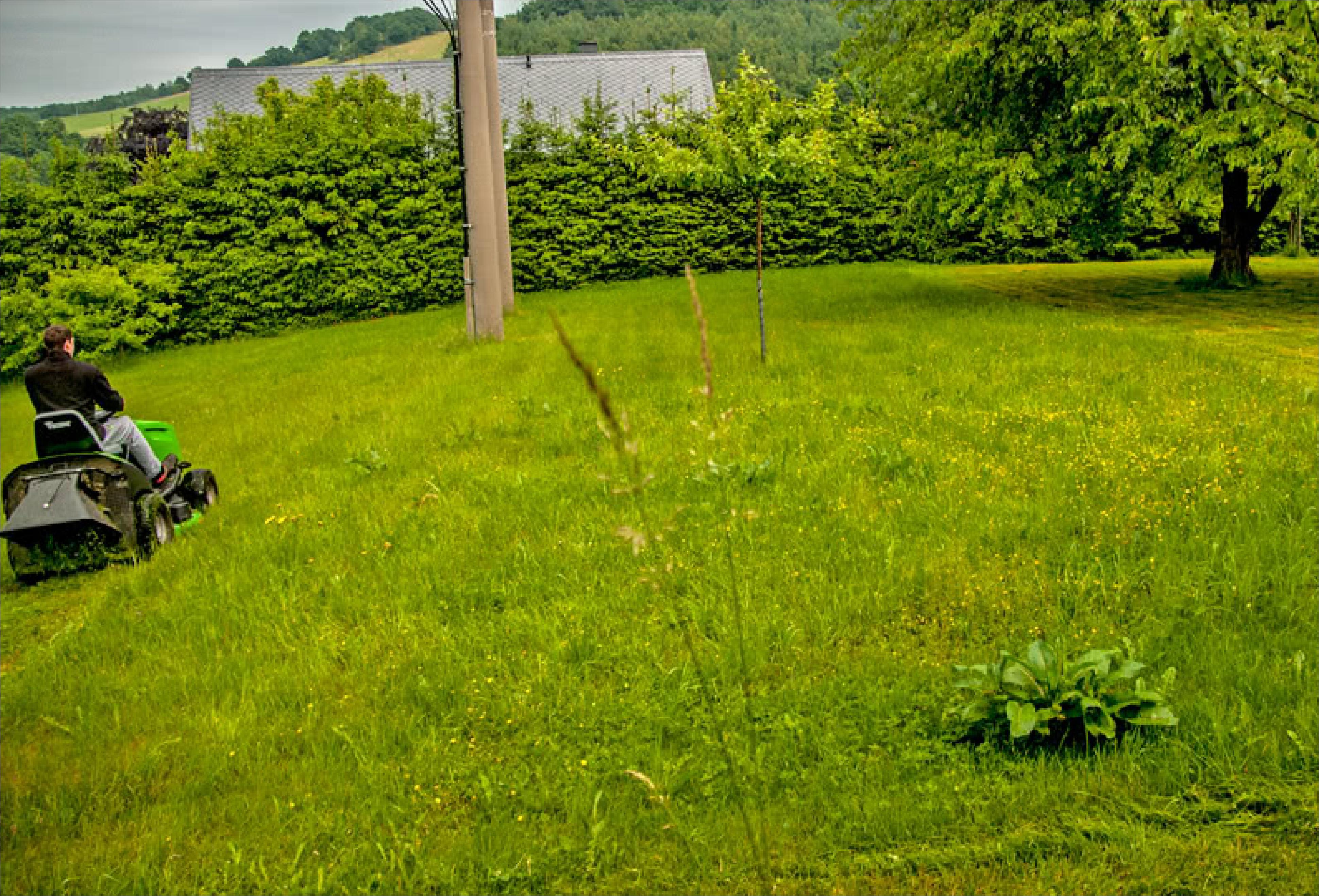 10 Jahre CO2-Projekt - Paul's Wiese - Klassenfahrten Blog