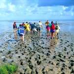Erlebnis Wattenmeer auf Ihrer Klassenfahrt an die Nordsee.