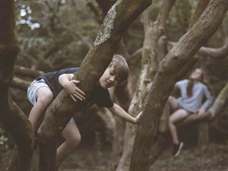 Ein Grundschüler klettert auf einen Baum